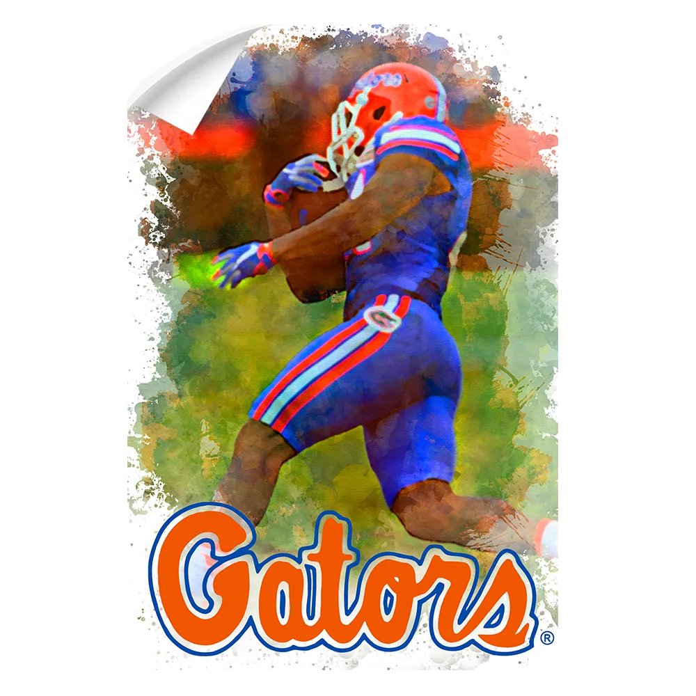 Florida Gators - Gator Run