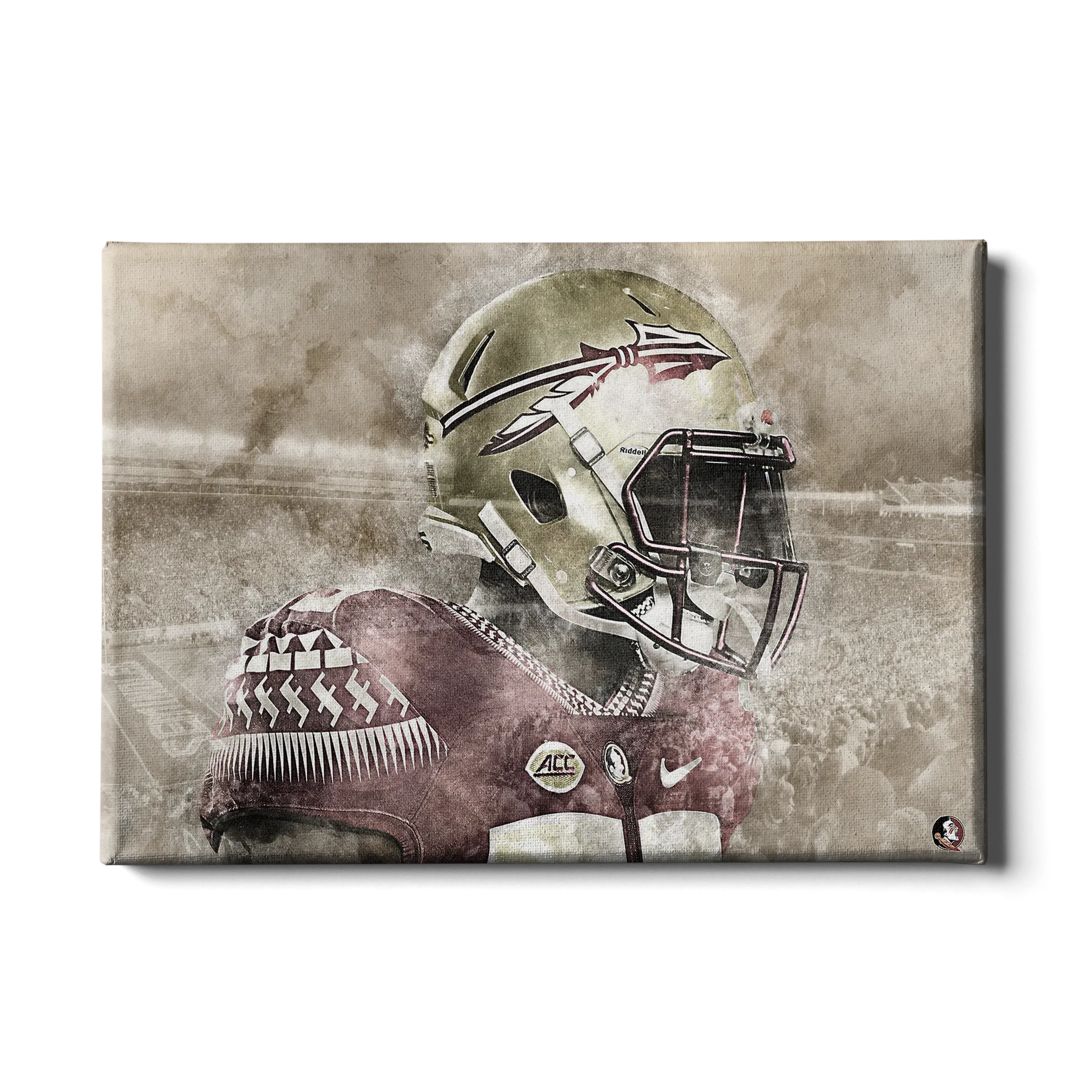 Florida State Seminoles -Vintage Nole